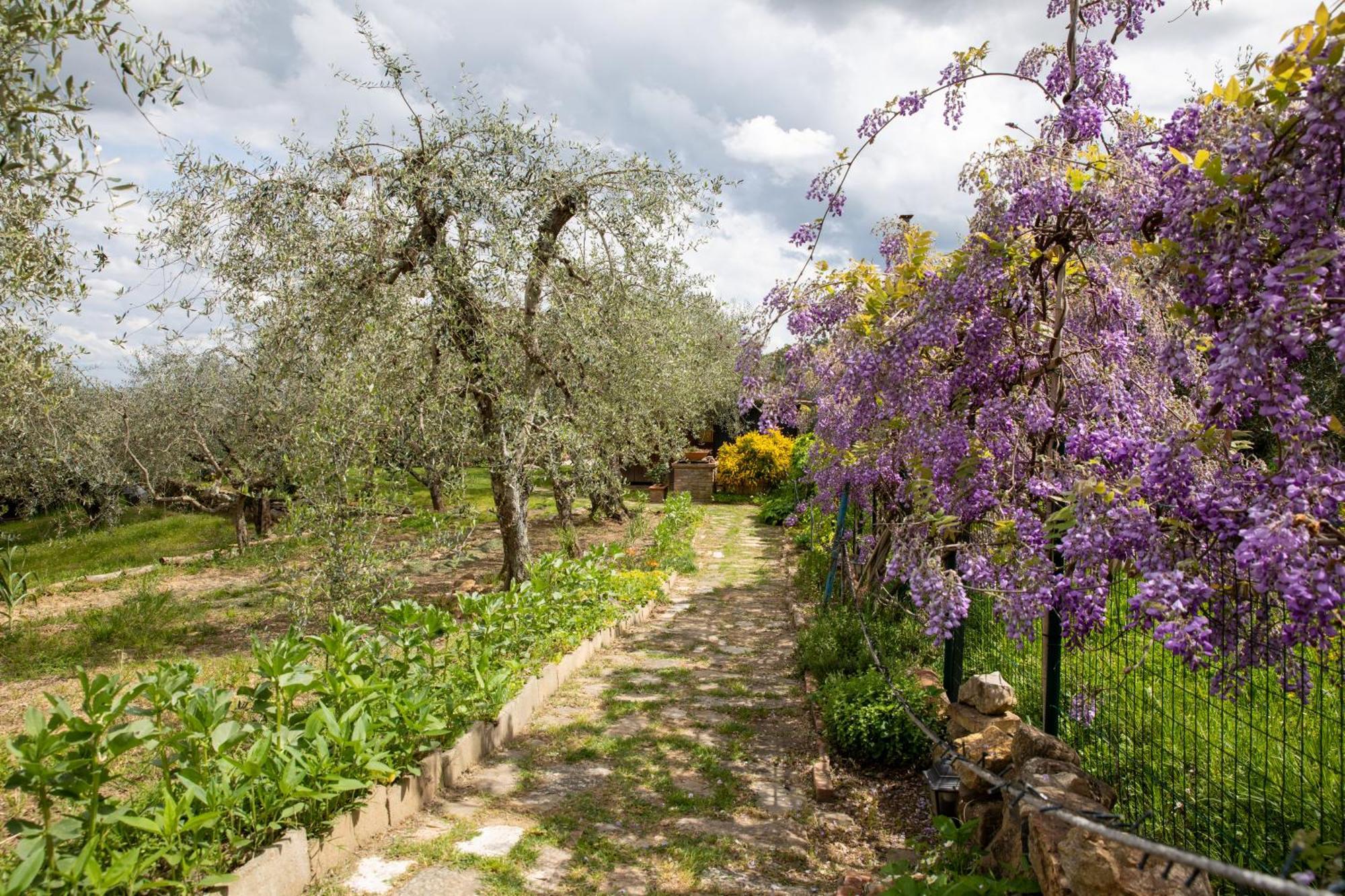 Il Poggio Dell'Eremita Apartamento Rigomagno Exterior foto
